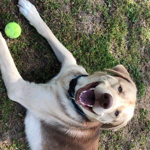 Meet your Posher, Hannah